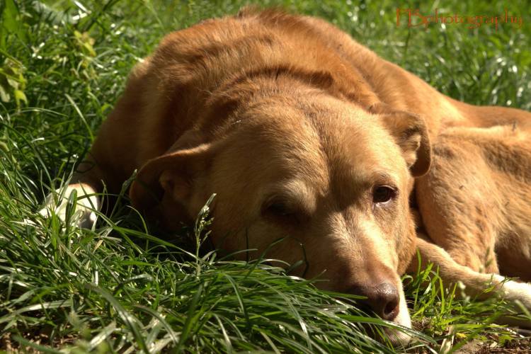 He’s My Best&nbsp;Friend