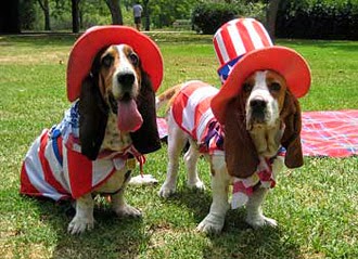 4th-of-july-dog-costume