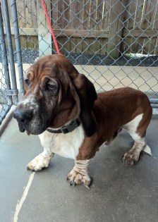 This Old Guy | Memee's Musings