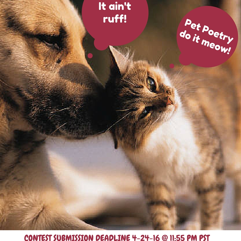 Pet Poetry: Do It Meow! | Memee's Musings