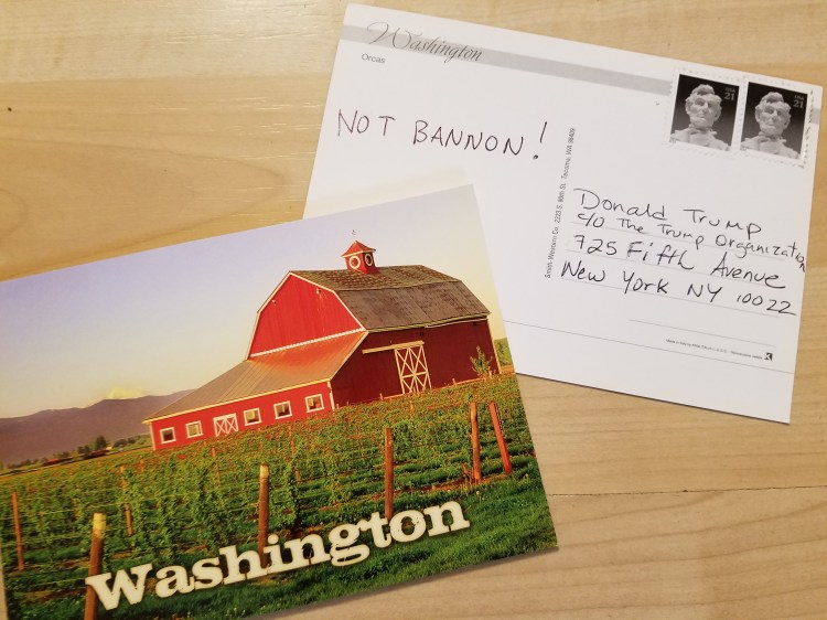 Peaceful  Postcard Protest #wcw | Memee's Musings